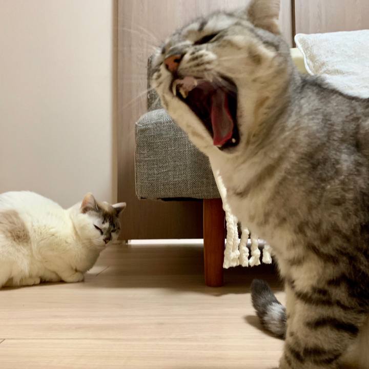 9d9dd830 7703 442d 8bc1 feb1c0c511b2 1555063665760