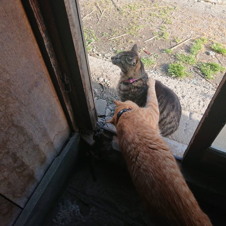 9d9df5cd a712 4bb1 b75c 42835a367c3f 1650715668501