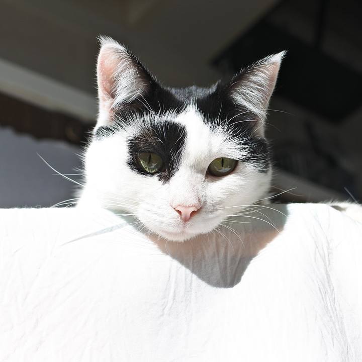 9d9e1890 4317 483f bd33 dfacad333258 1511438265167