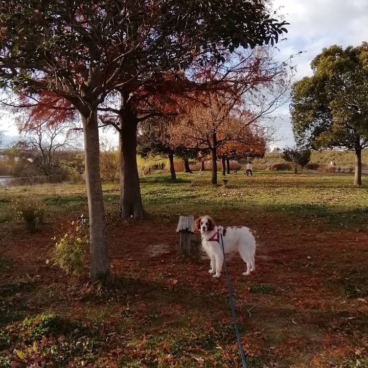 9d9e602d 9354 4424 af3e 581358ba3e56 1607939593245