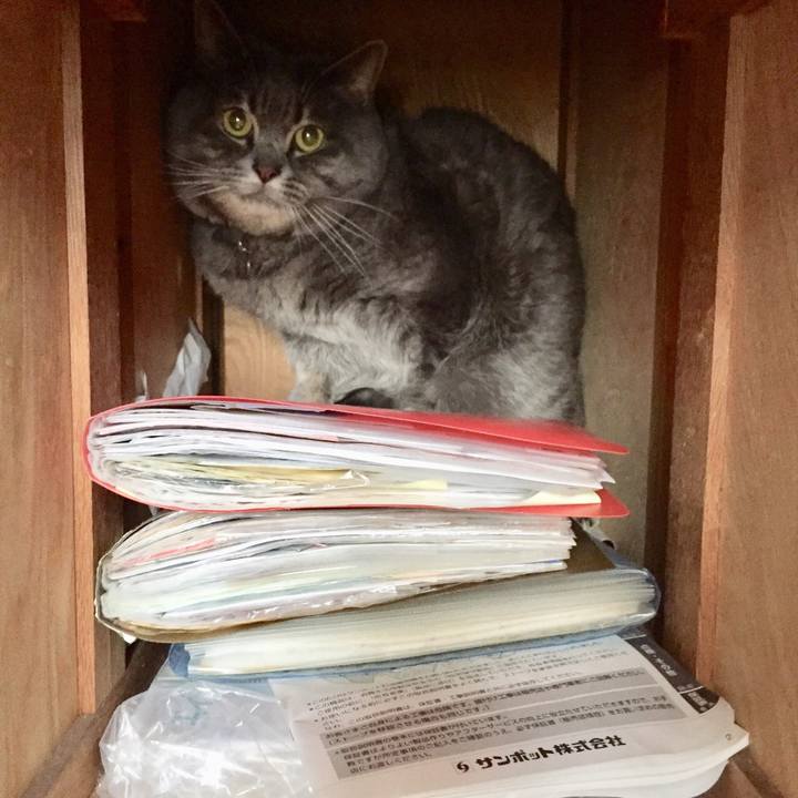 9d9e768e 91c2 4afd 8f89 9062405f80aa 1520377894067