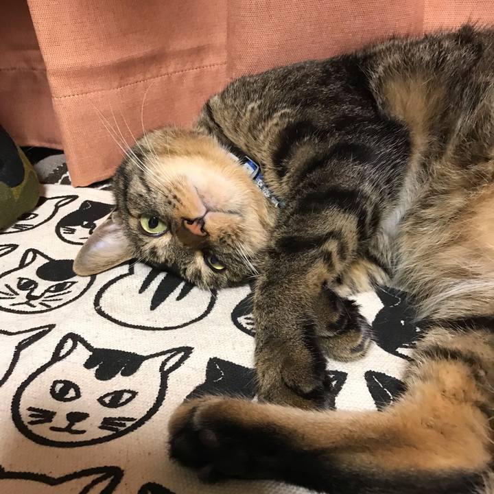 9d9ec81a fc66 4134 9f31 d72acc799015 1566649180925