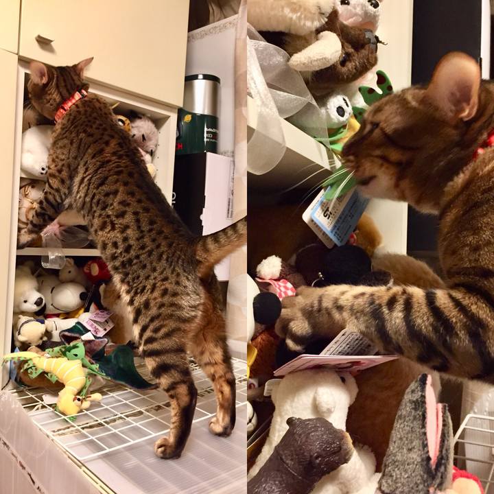 9d9f0234 d56c 4fd4 bf89 8dc9ffdefb19 1511654583455