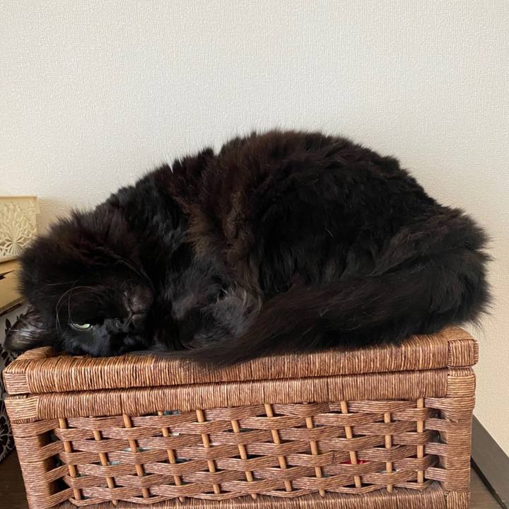 9d9f4a5d a2a9 4a66 9294 9d4098a1fa45 1606180959653