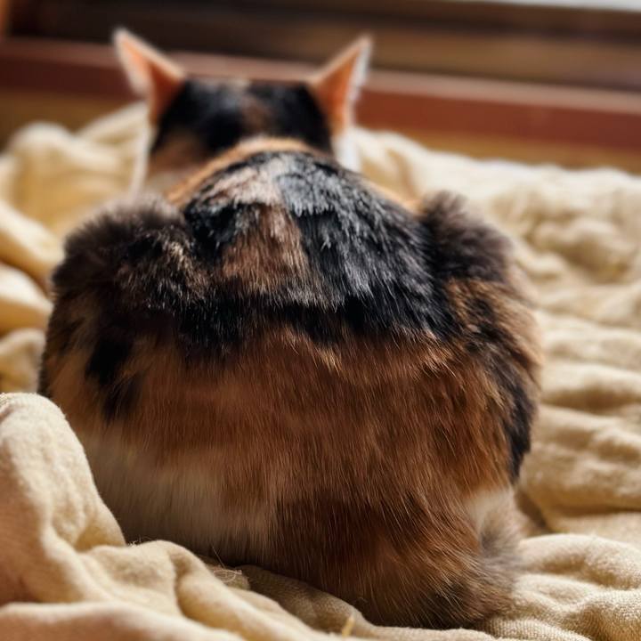 9d9f4b02 df6d 409e a7b4 526f3eee384e 1725237230586