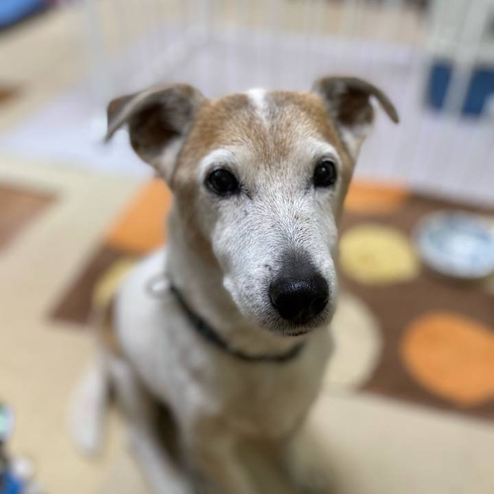 9d9f5d04 8562 422e bd4a 5858e0712e8c 1653953091147