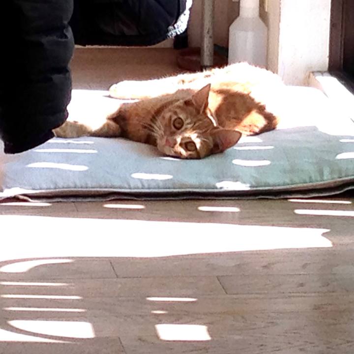 9d9f7d6b 9cda 40ad a023 06d035dccf1e 1582944844300