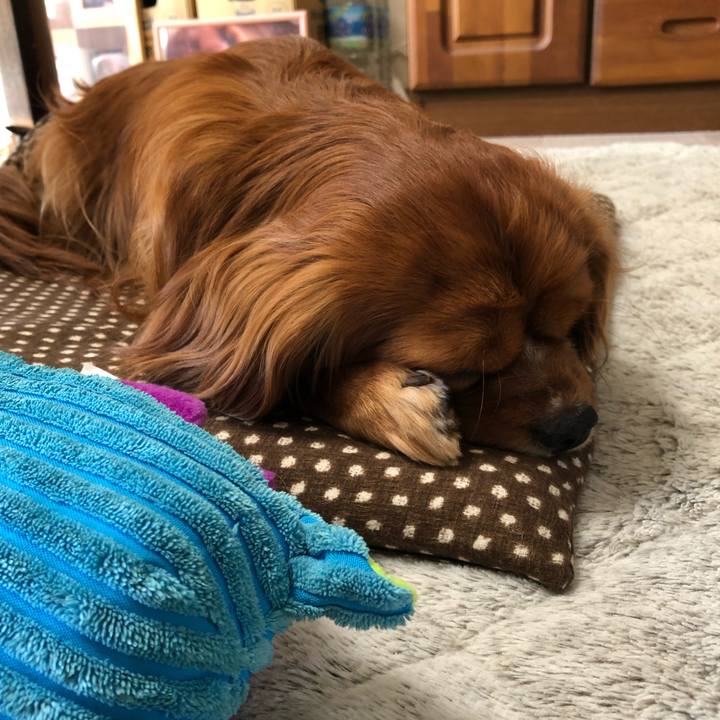 9d9f8773 ee0c 4133 b6c0 aa2baa7f7bd1 1589926757873