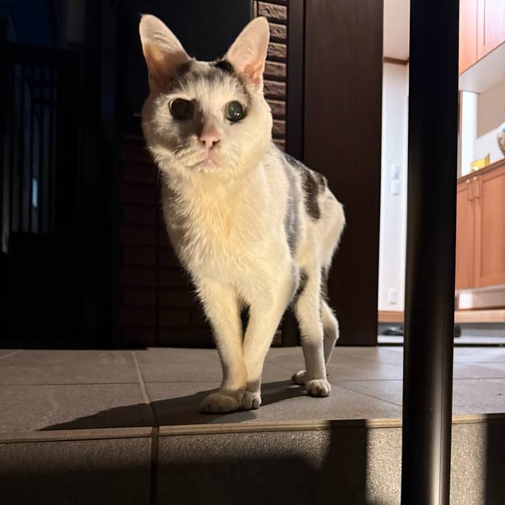 9d9fa29d 149b 4ea9 8d49 d2e1c505613d 1771151790919