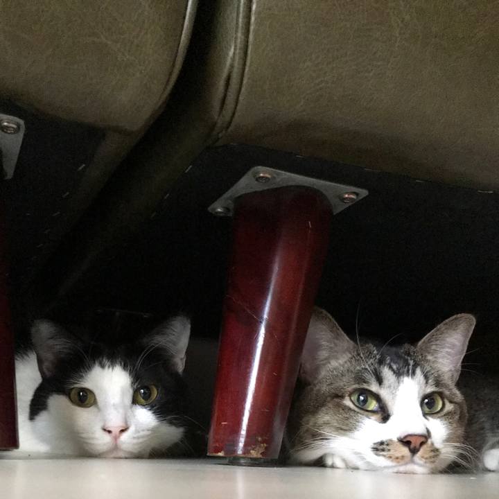 9d9ff5f9 cbcb 4e96 8ffe d9aca78cf436 1548987237337