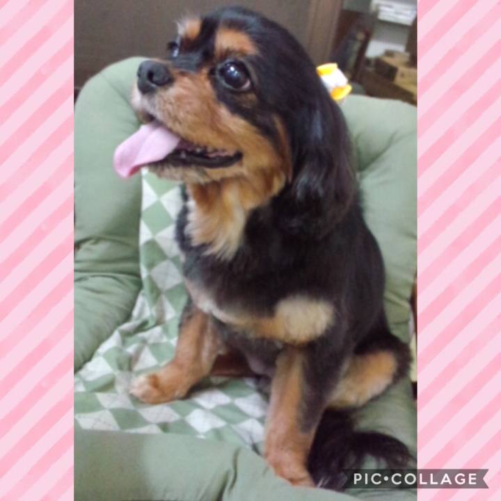 9da044c4 9465 44a9 bd69 98380fc826aa 1586167300659