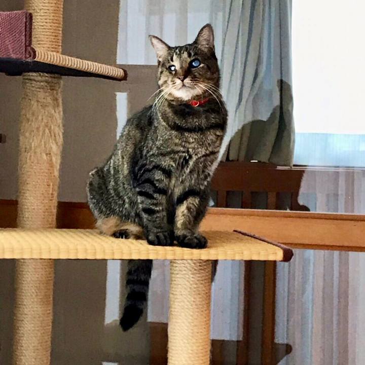 9da08543 db1e 4a6b 8951 c3330b5e12b3 1569832134623