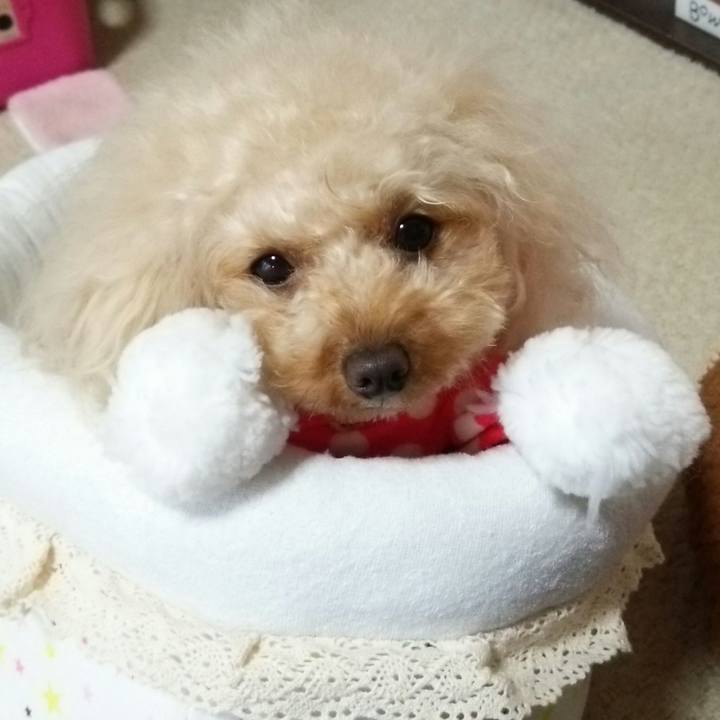 9da0978a 8a1a 4906 8538 1f4c5df4dc73 1515240755319