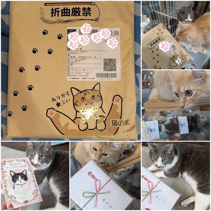 9da0c40d bb2f 4e65 86c6 f9ea7e20bc52 1727767921967