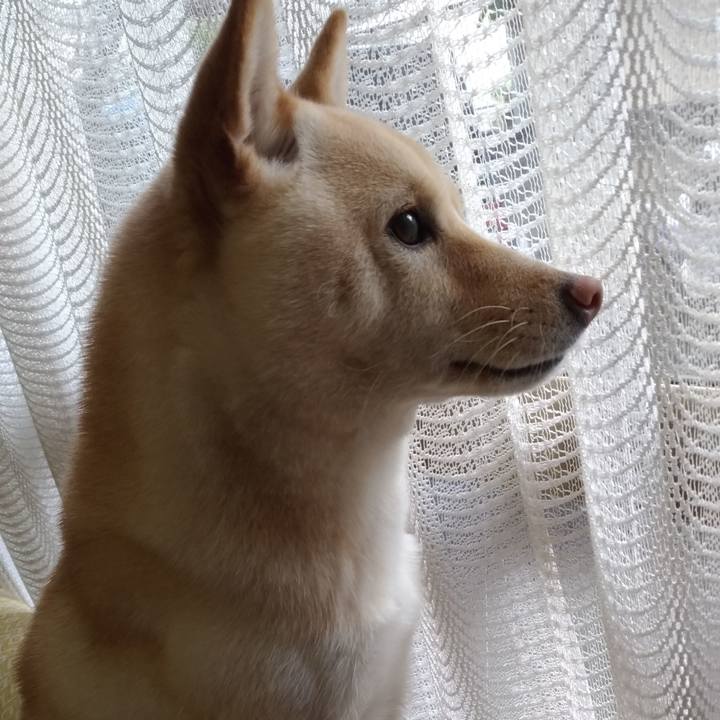 9da0d35e d30f 4187 af3c b92f2e1d13fb 1545784381437