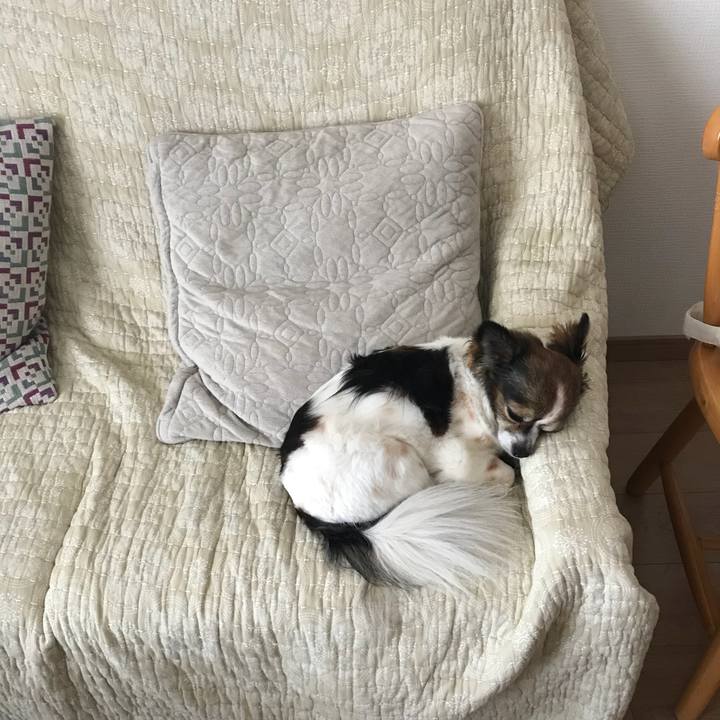 9da115b1 8aa6 413b 8c7c 57ec287b65a9 1531524181311