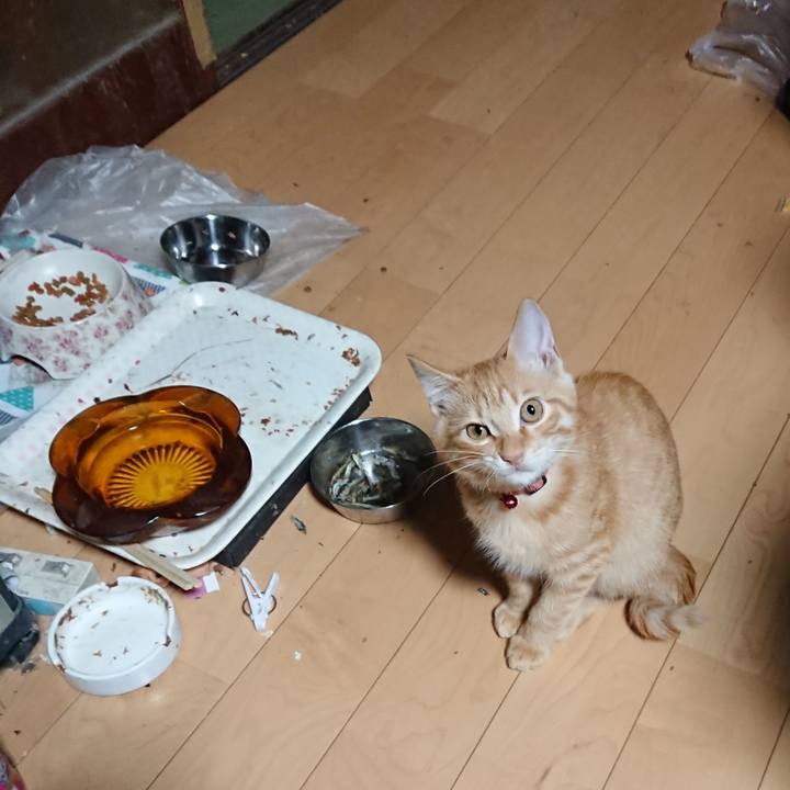 9da1194a 7aaf 48e7 bb96 8d504bedc3bd 1633812627039