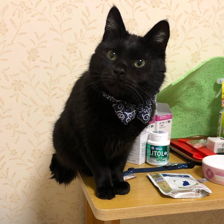 9da12065 6751 4456 adb8 2f0787dfd4eb 1575900514140