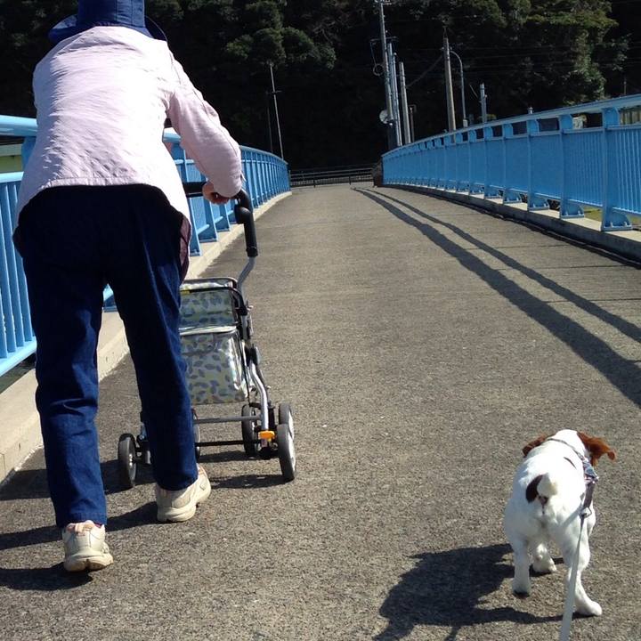 9da123b6 962e 4b8a 8c1c 2e7c3757b8c4 1524490688729