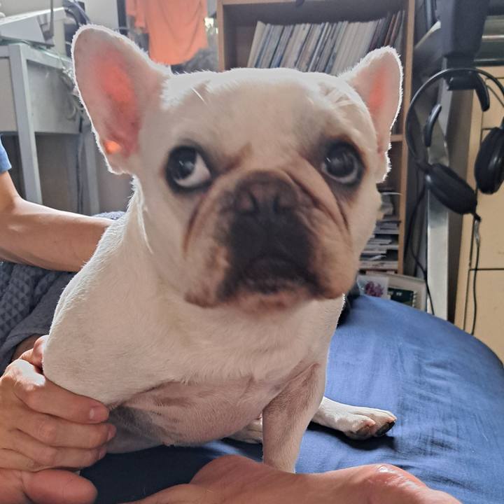 9da15bb2 bfb1 4896 a02e 984813d77d61 1693956529766