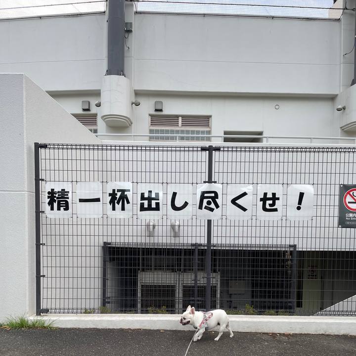 9da162d3 d56d 4441 bcc7 53dc7bfccbf9 1753312500915