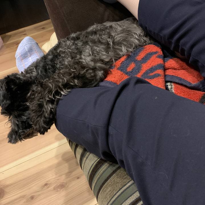 9da1838d c32e 4648 86d6 6da506fc5472 1606269707294