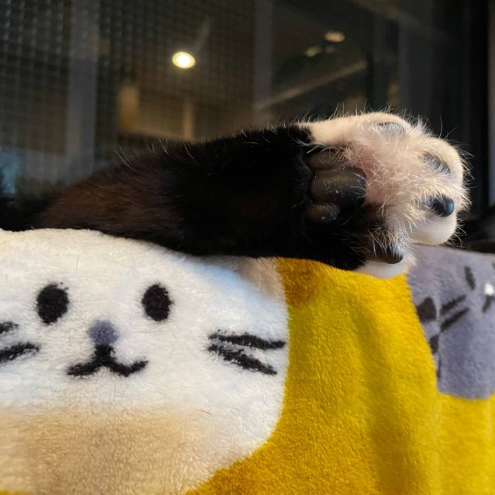 9da1bd73 1a68 4fc8 b21c a4d08c37ed33 1651929143937