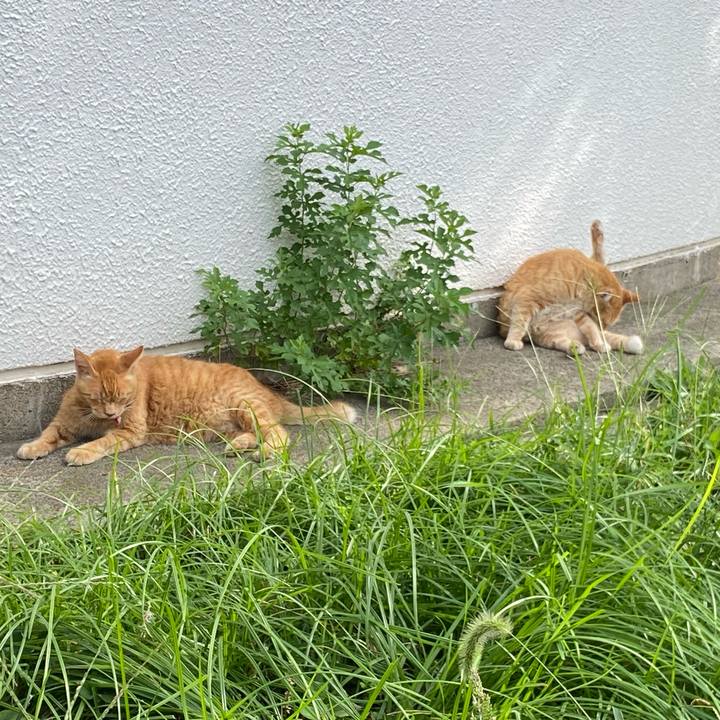 9da1bf35 317d 4513 b9d2 8b0f8dd690aa 1758964037533