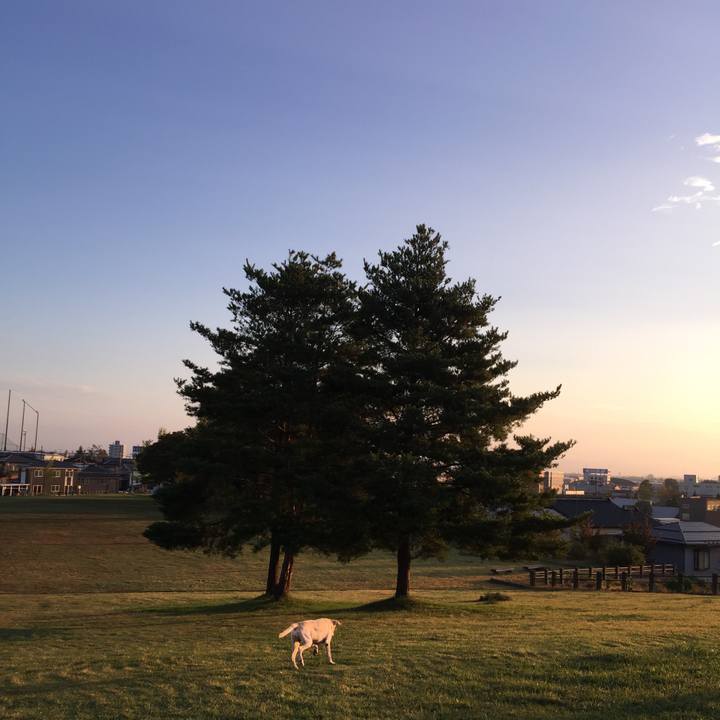 9da1c6be e15e 4c52 8f2d 6e93eedda0a1 1509061920470