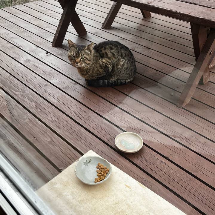 9da1f239 3f71 4356 9e1a dbe16b154337 1716411800599