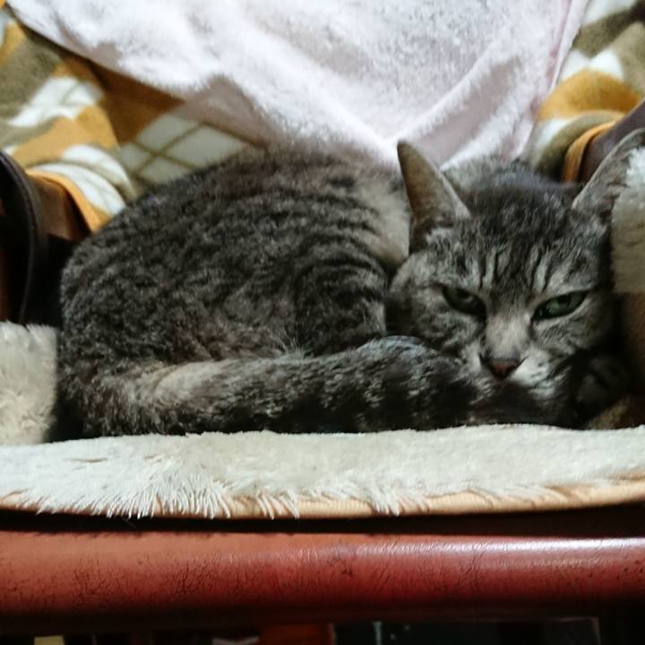 9da1f773 b759 4cac ae54 5edd7755beb8 1552039277160