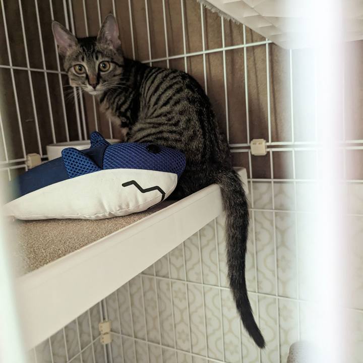 9da21751 d9a6 418a 9718 621beed28cfb 1702524806356