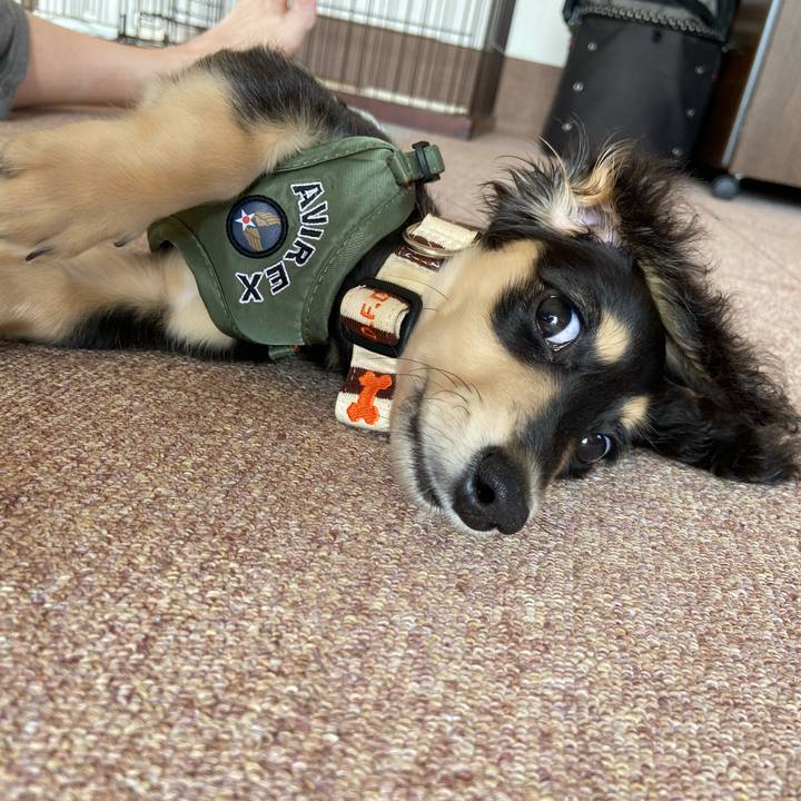 9da22b93 154b 4831 8702 ae2ecd139f84 1667955209943