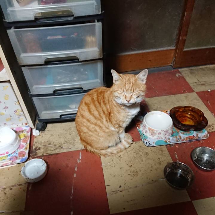 9da2302a 57be 4228 bb3f 2234a791d189 1584736414866