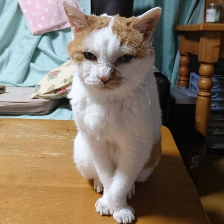 9da24c3d 6e7c 4c87 8554 7b5afb1fe037 1534337840976