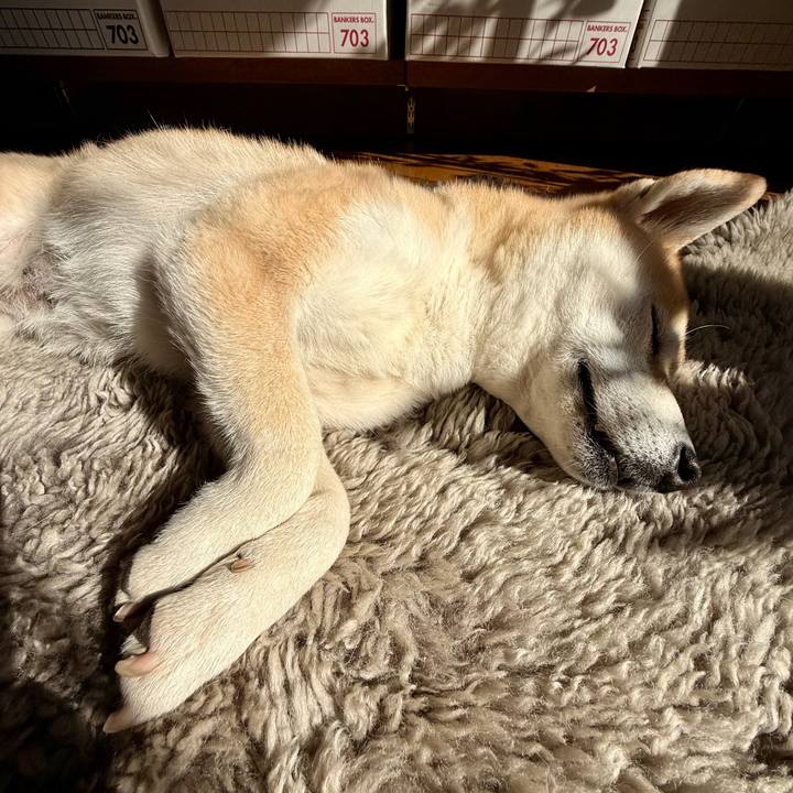 9da261d1 d629 40b5 a2c4 92ea8d0c6ac0 1770342528385