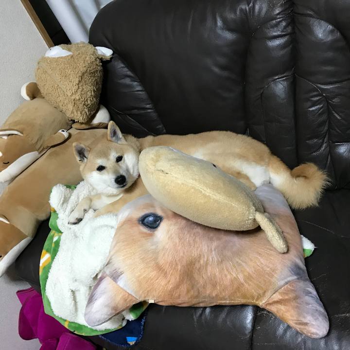 9da261ff b232 4250 9d15 7a36bbcb5116 1520930348688