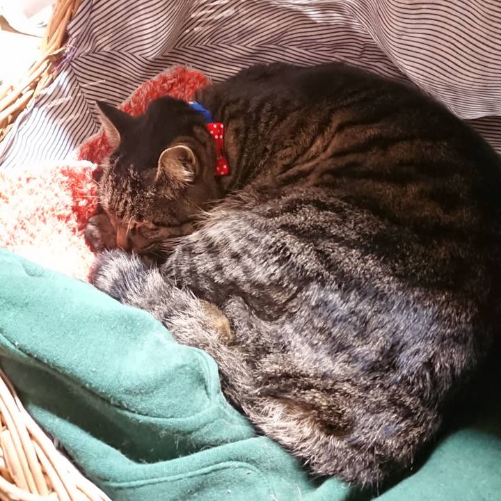 9da26c4d ca39 47da a5d0 722b59e591a2 1641213349909