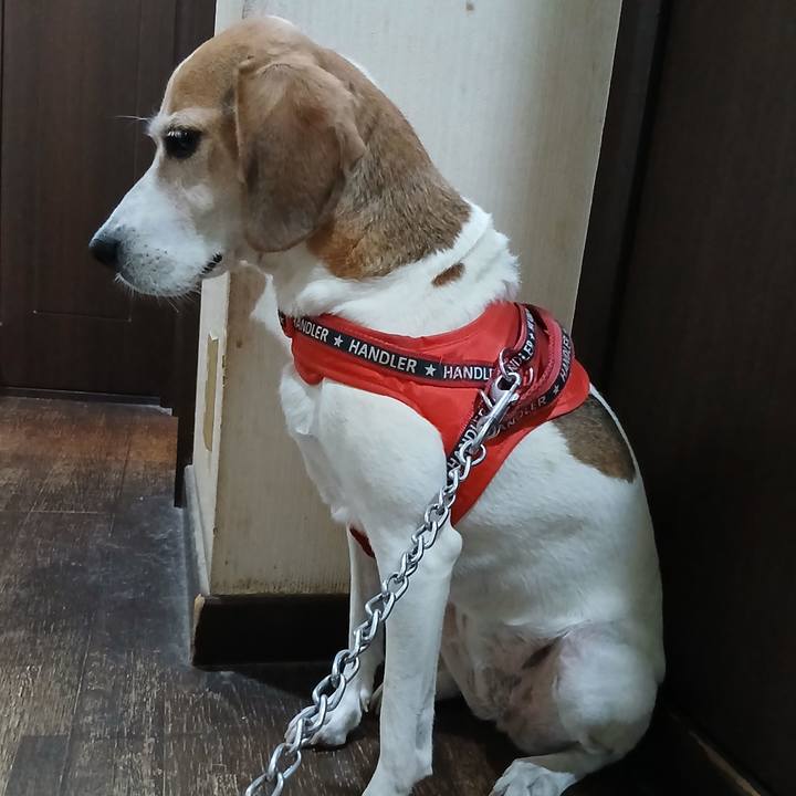 9da27dd2 a73b 4dd4 8c2a 3b4295592c46 1760087311756