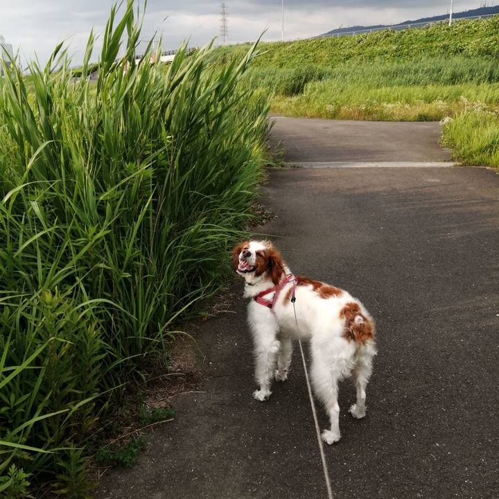 9da28f54 93fa 46e8 a2c3 47879b479f1a 1593603869901