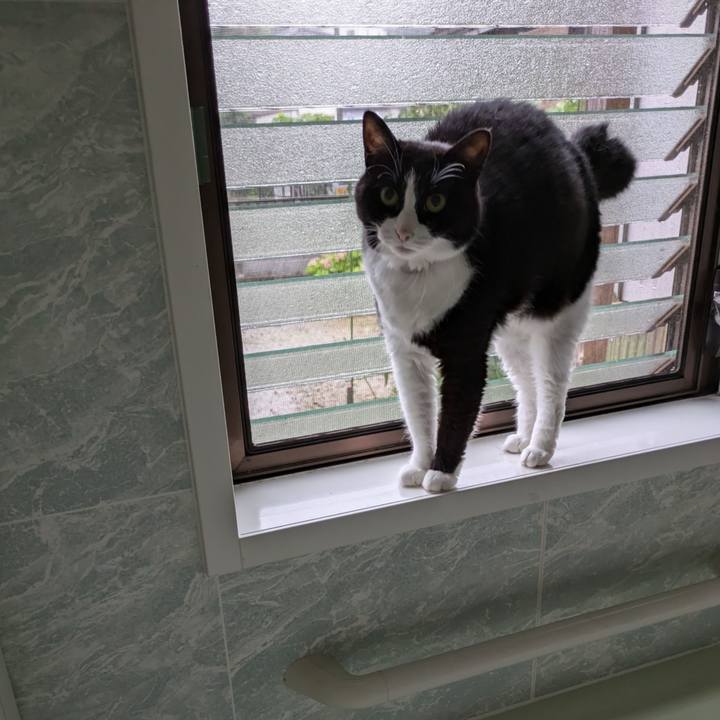 9da2f723 f5ed 4c81 9946 91a502f724da 1721484553853