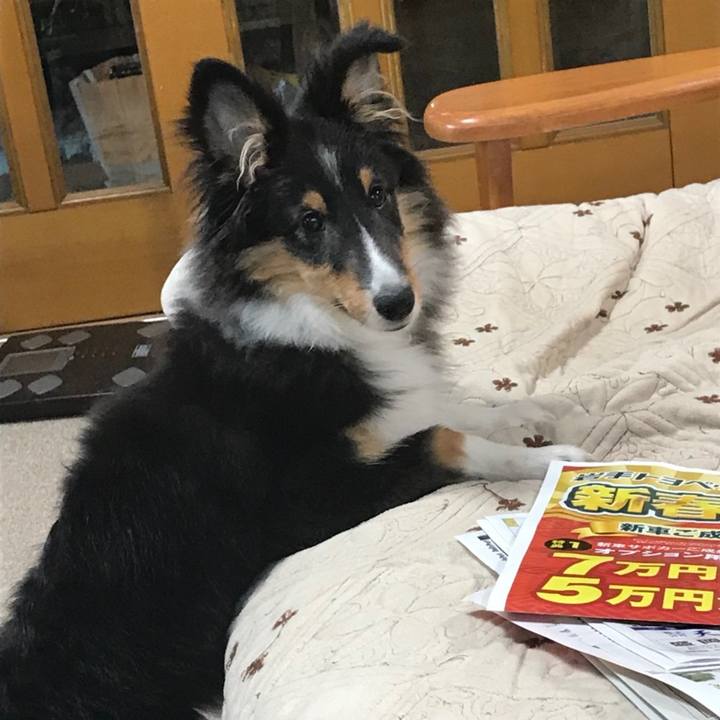 9da32333 0552 47f2 8358 33346b1fdd16 1583099288709