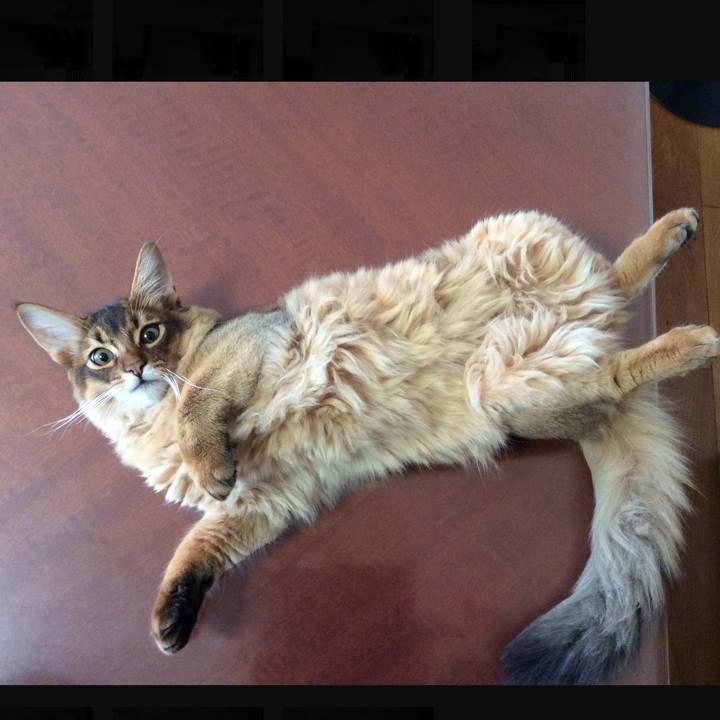 9da358bc 32e9 4e03 9d64 84ec93f59f50 1576192989225