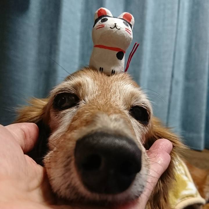 9da3614a 91e6 416b 92fd d0589c0d482d 1514546829885