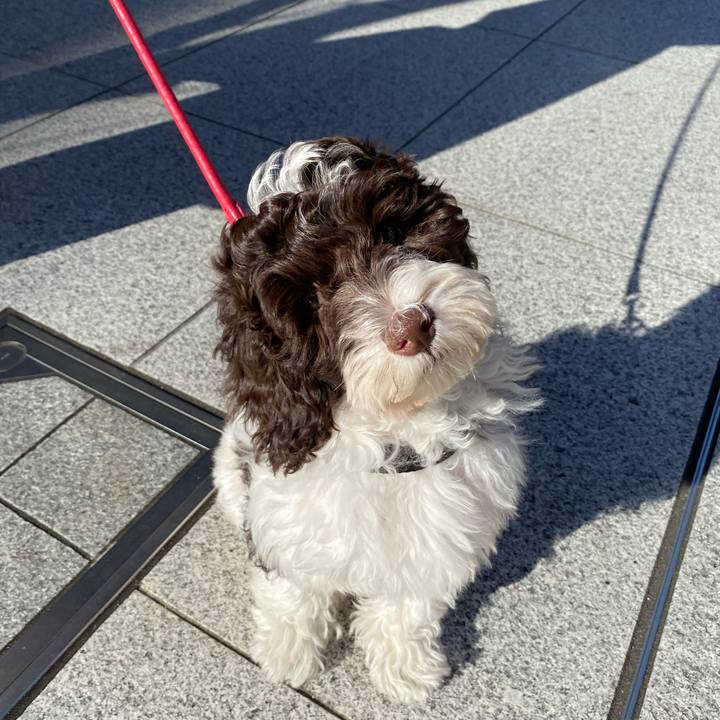 9da37fff 1aa5 4da3 8fef 9927f9af4beb 1609827180211