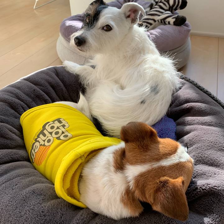 9da3a37f 3ada 453c 9196 05ba7c87de92 1637902828396