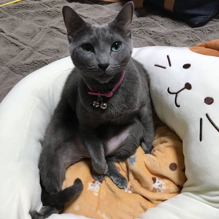 9da43a1e 796b 4da8 a5ec 41052f5b4d6a 1551860052572