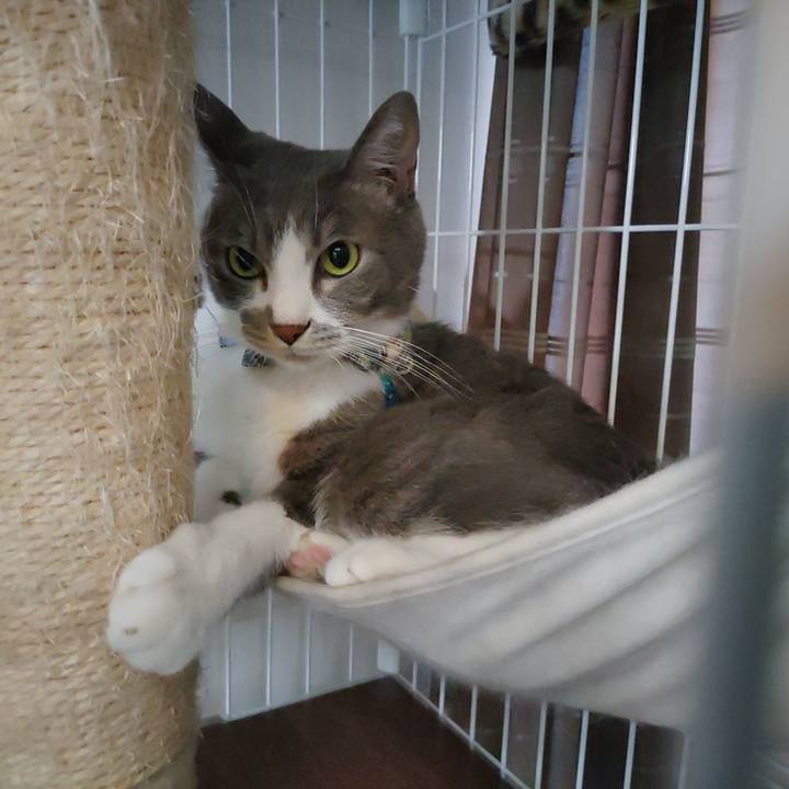 9da43d7c 2b4b 4a1d 9892 b06dcae0ad43 1696635782015