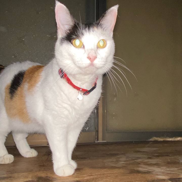 9da45483 52ca 4c9e a517 640bc67ca6f4 1690989772516