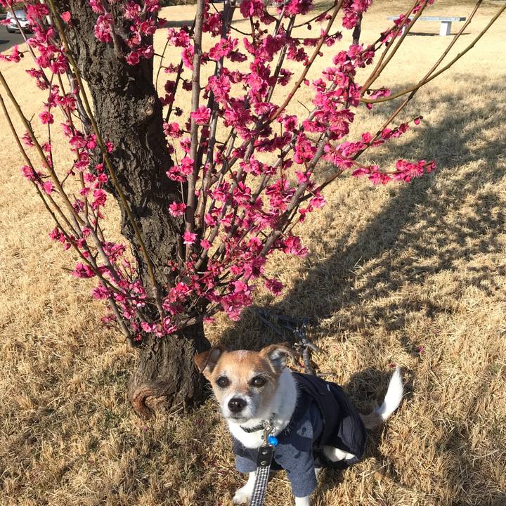 9da4645e e83d 45d7 bf1e d294261d385f 1581574585411